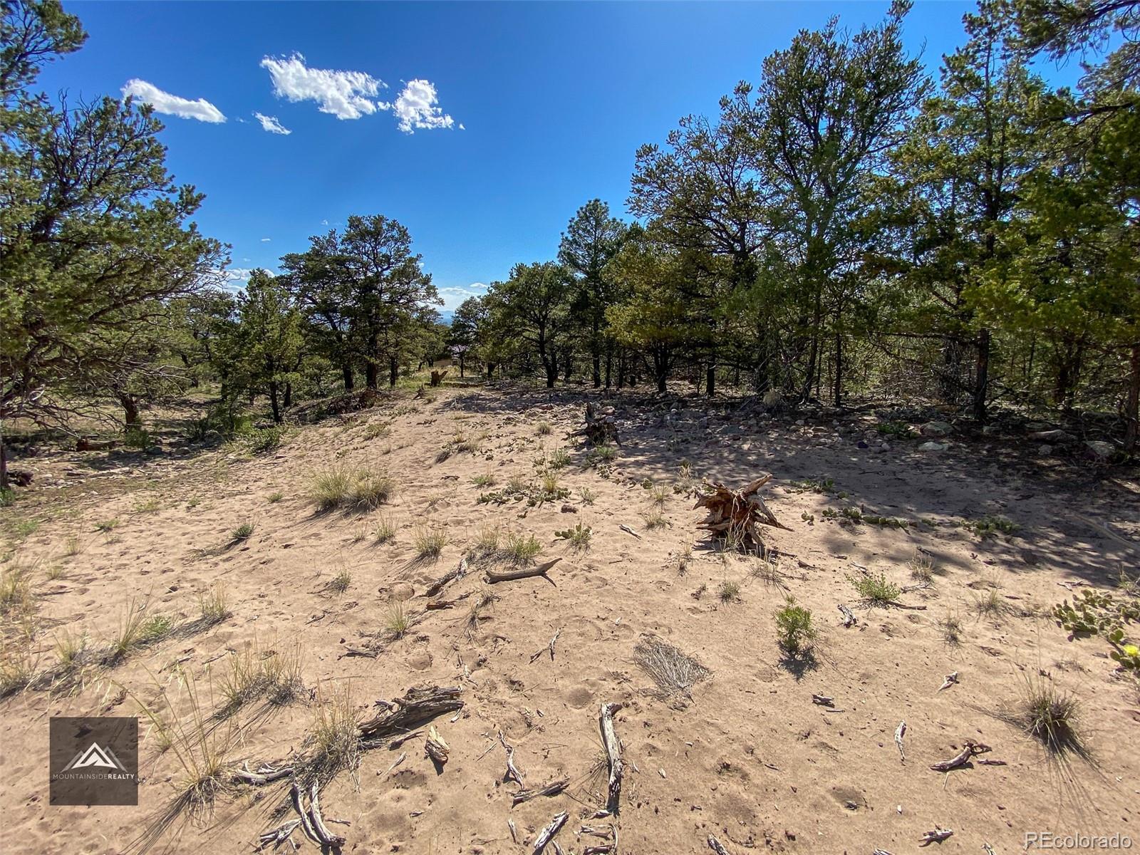407 N Chaparral Way Crestone CO 81131