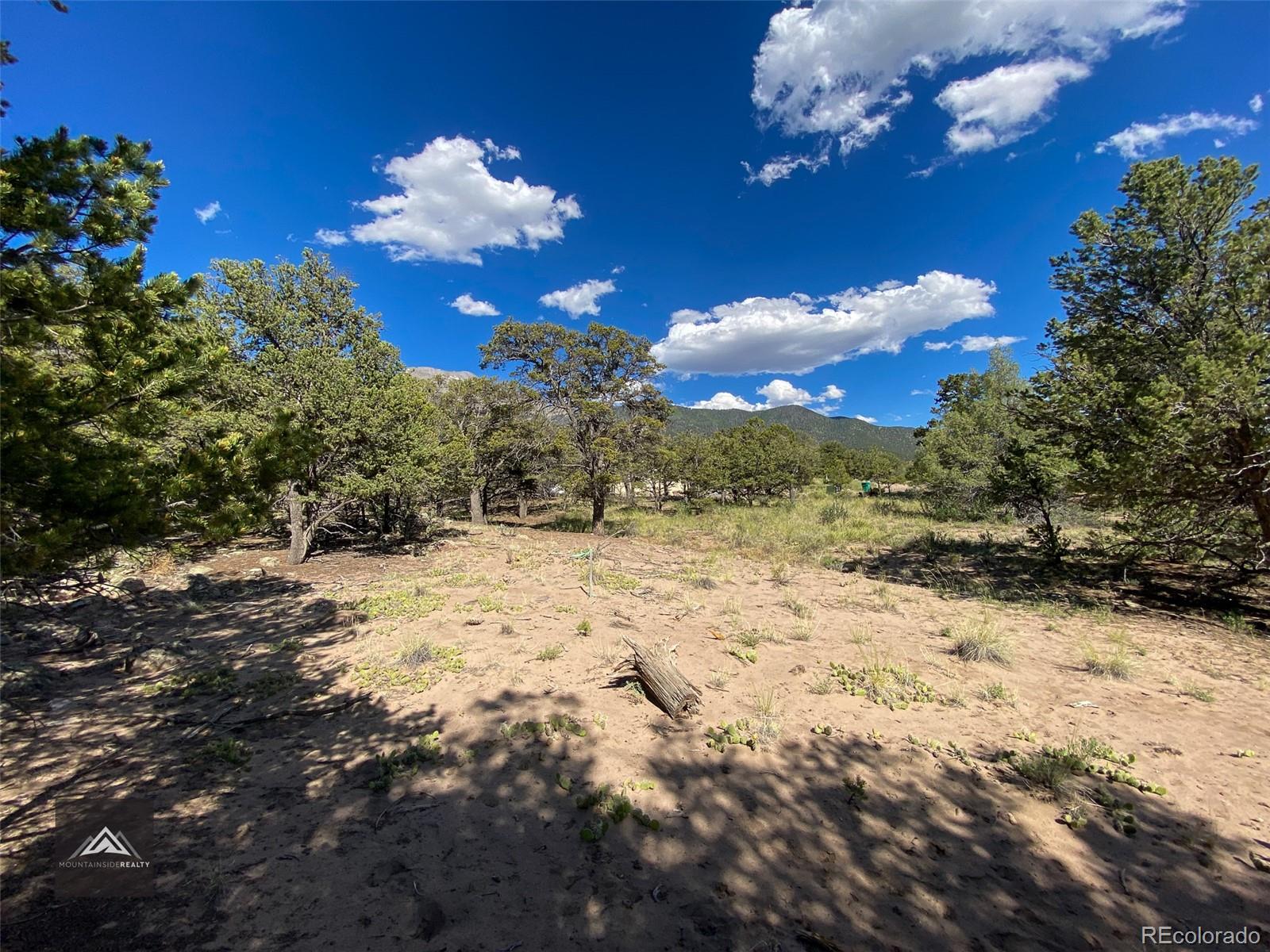 407 N Chaparral Way Crestone CO 81131
