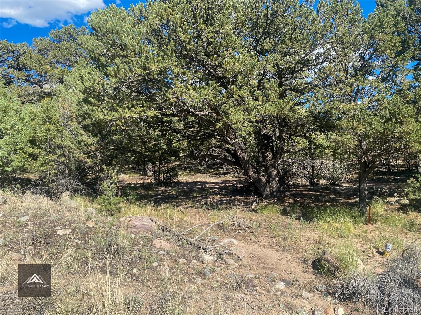 407 N Chaparral Way Crestone CO 81131