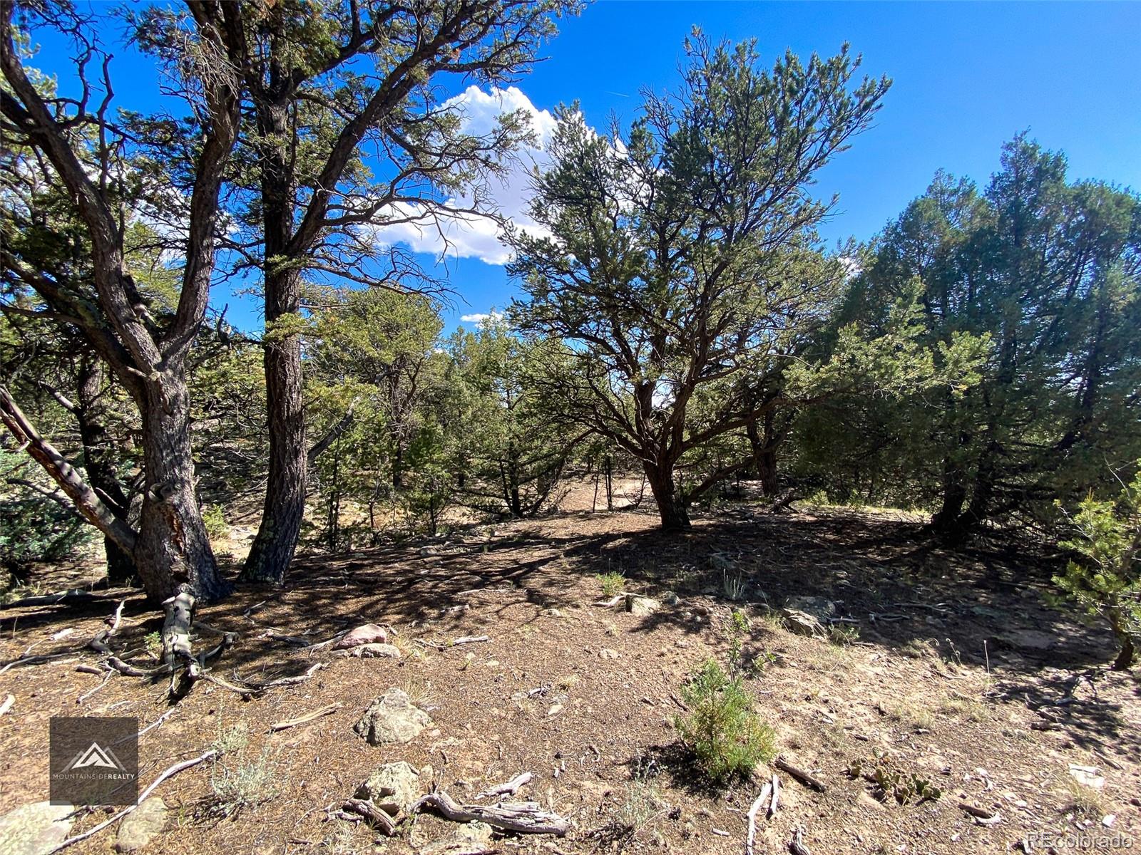 407 N Chaparral Way Crestone CO 81131
