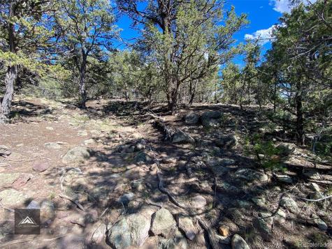 407 N Chaparral Way Crestone CO 81131