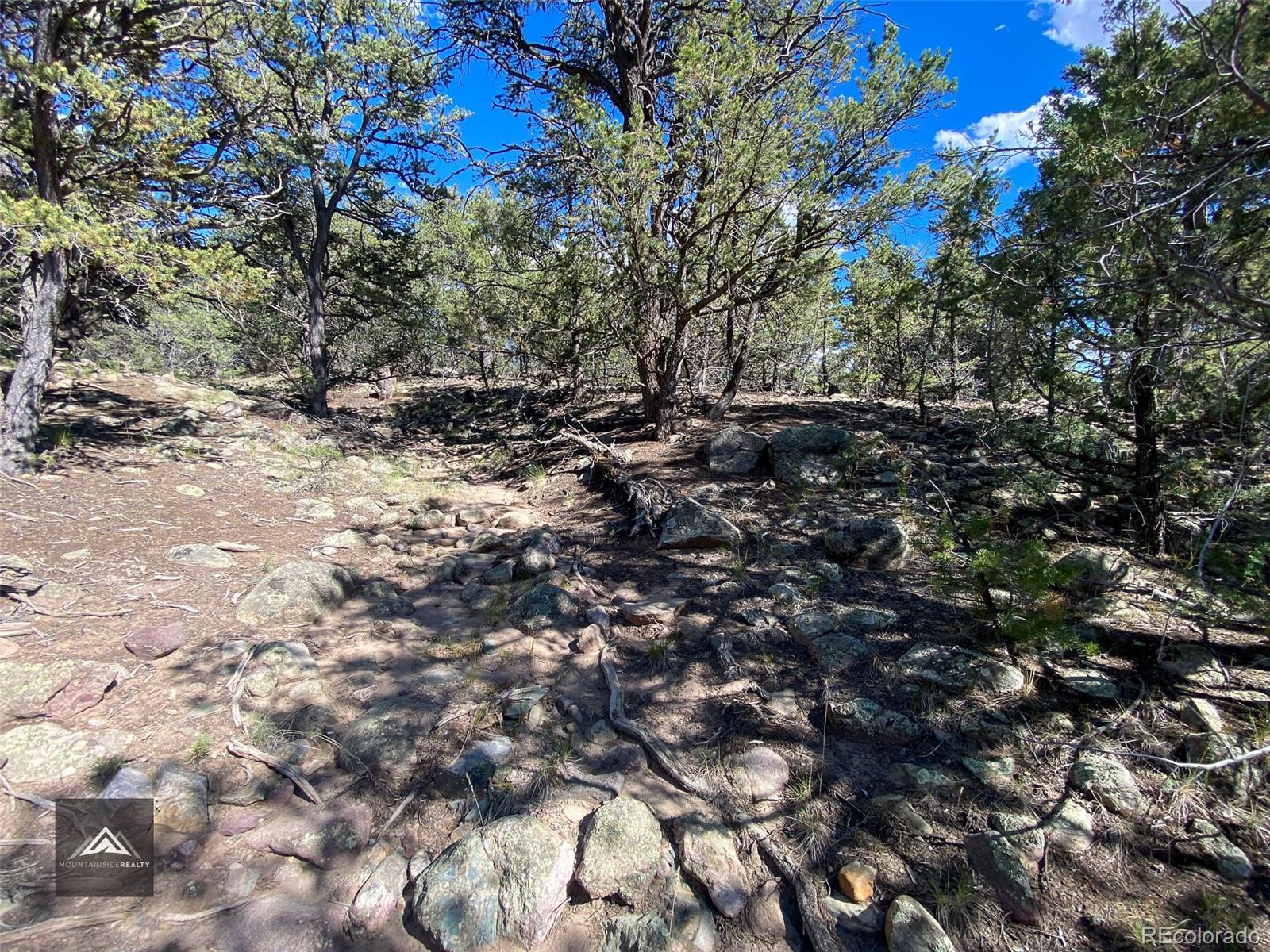 407 N Chaparral Way Crestone CO 81131