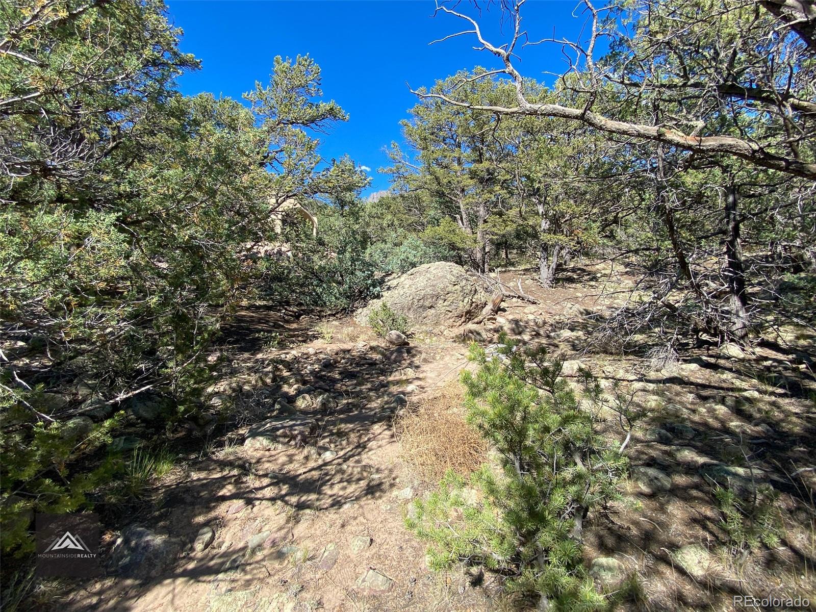 407 N Chaparral Way Crestone CO 81131