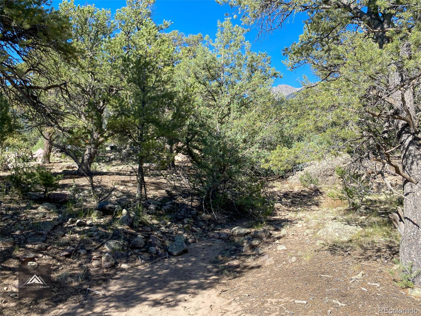 407 N Chaparral Way Crestone CO 81131