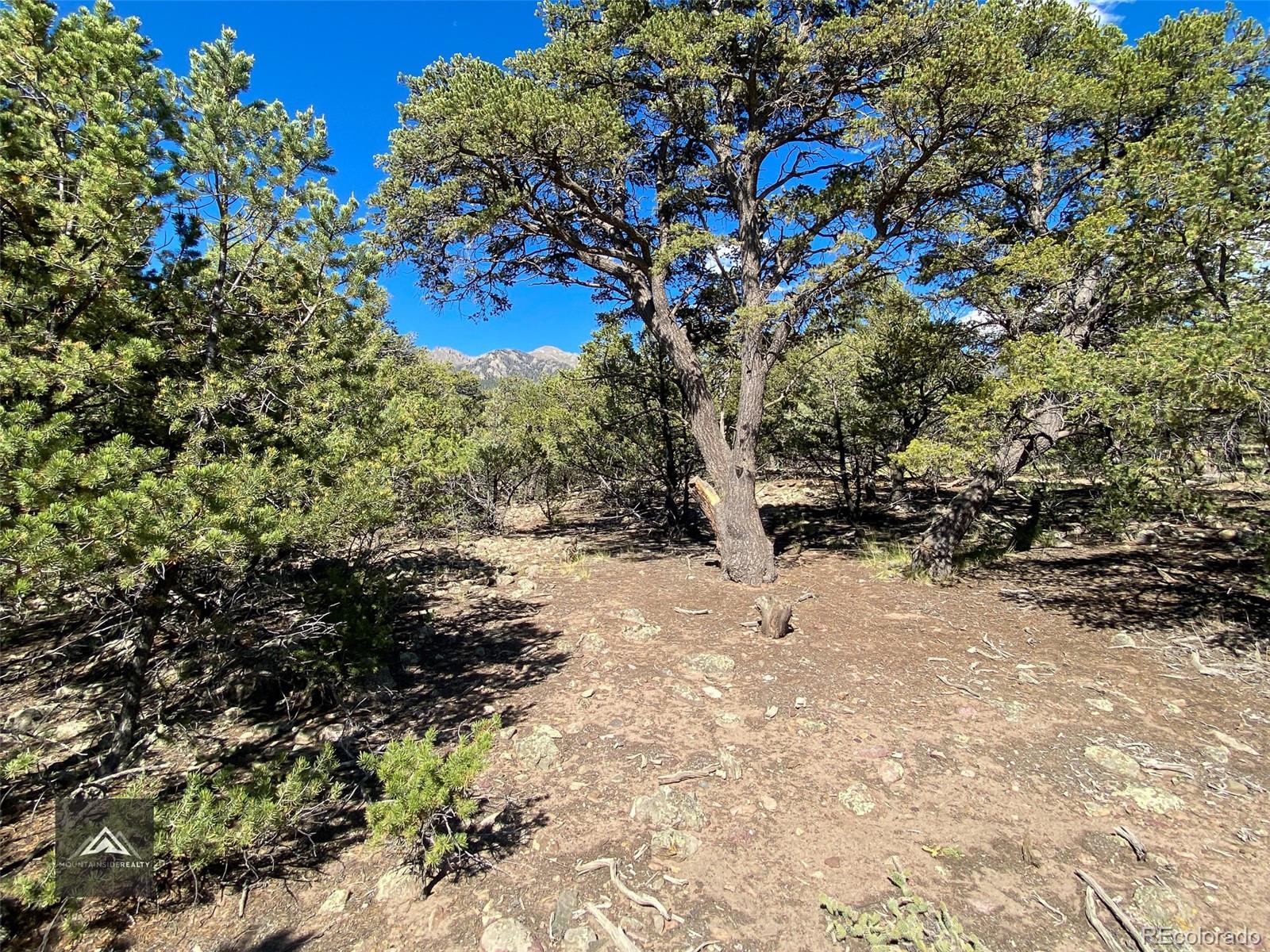 407 N Chaparral Way Crestone CO 81131