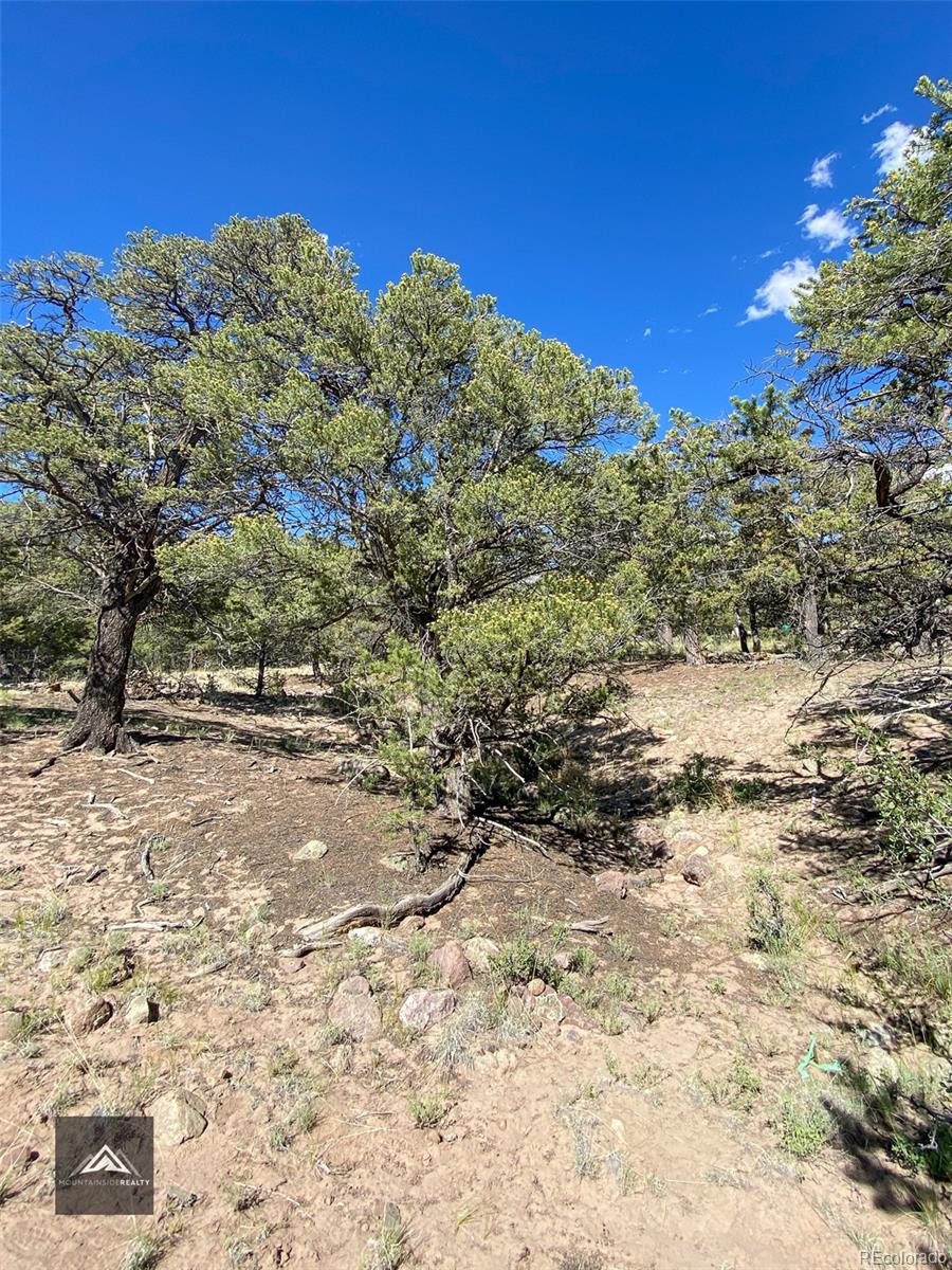 407 N Chaparral Way Crestone CO 81131