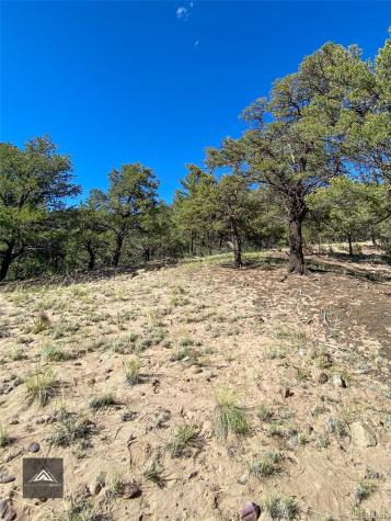 407 N Chaparral Way Crestone CO 81131