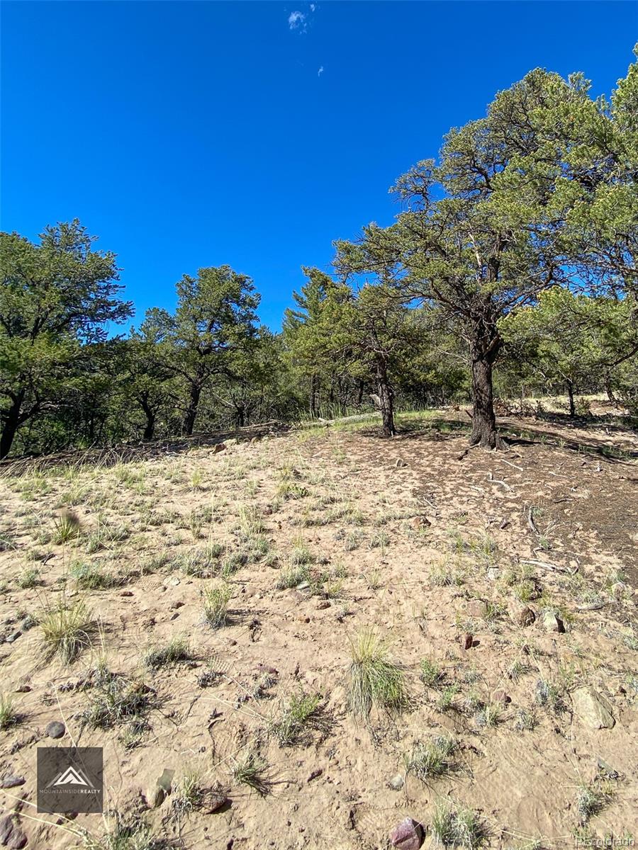 407 N Chaparral Way Crestone CO 81131