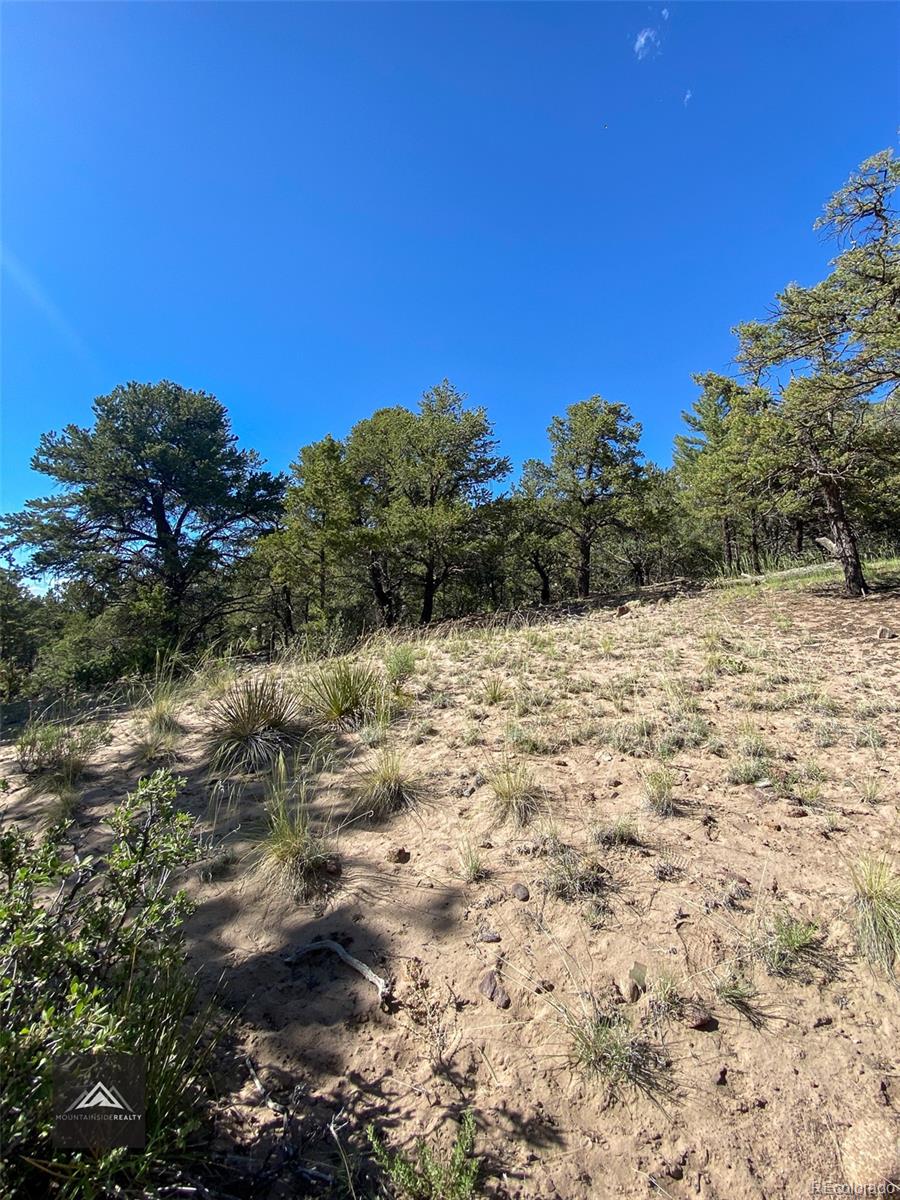 407 N Chaparral Way Crestone CO 81131