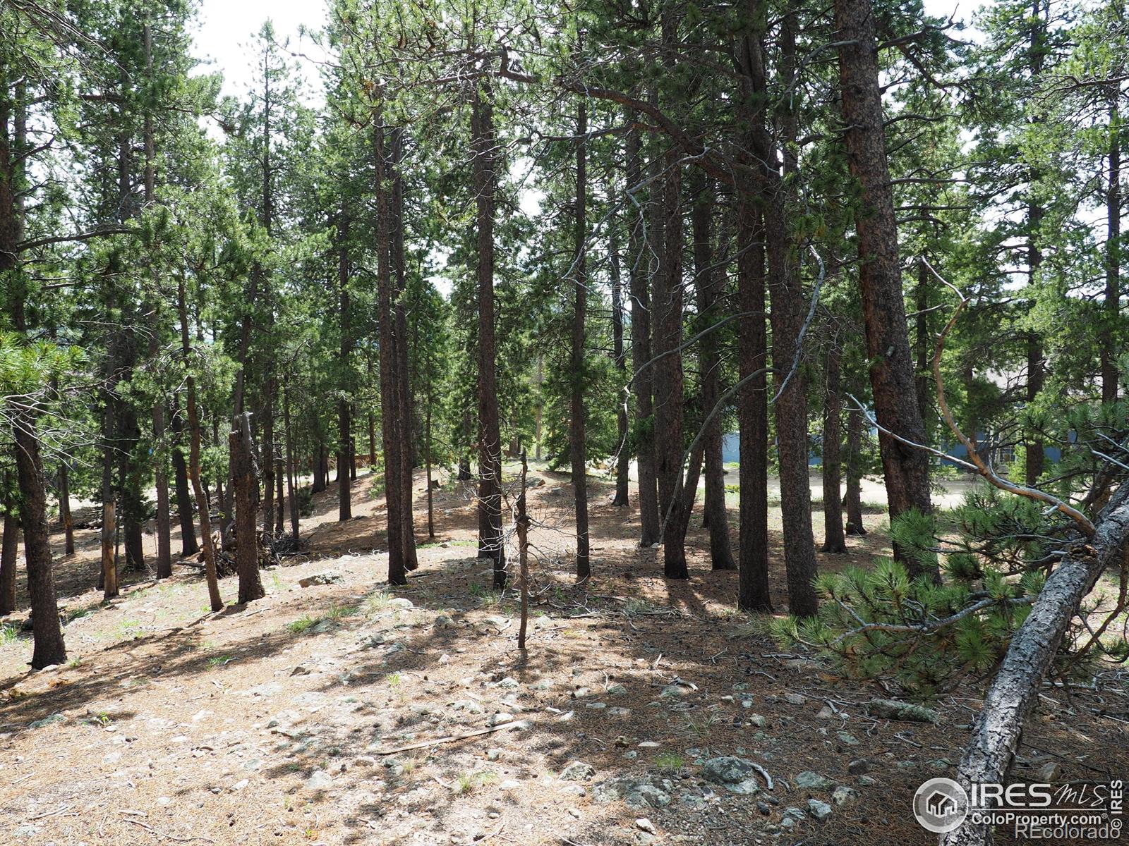0 Caesar Road Black Hawk CO 80422