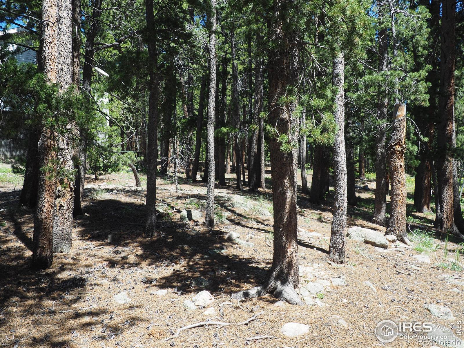 0 Caesar Road Black Hawk CO 80422