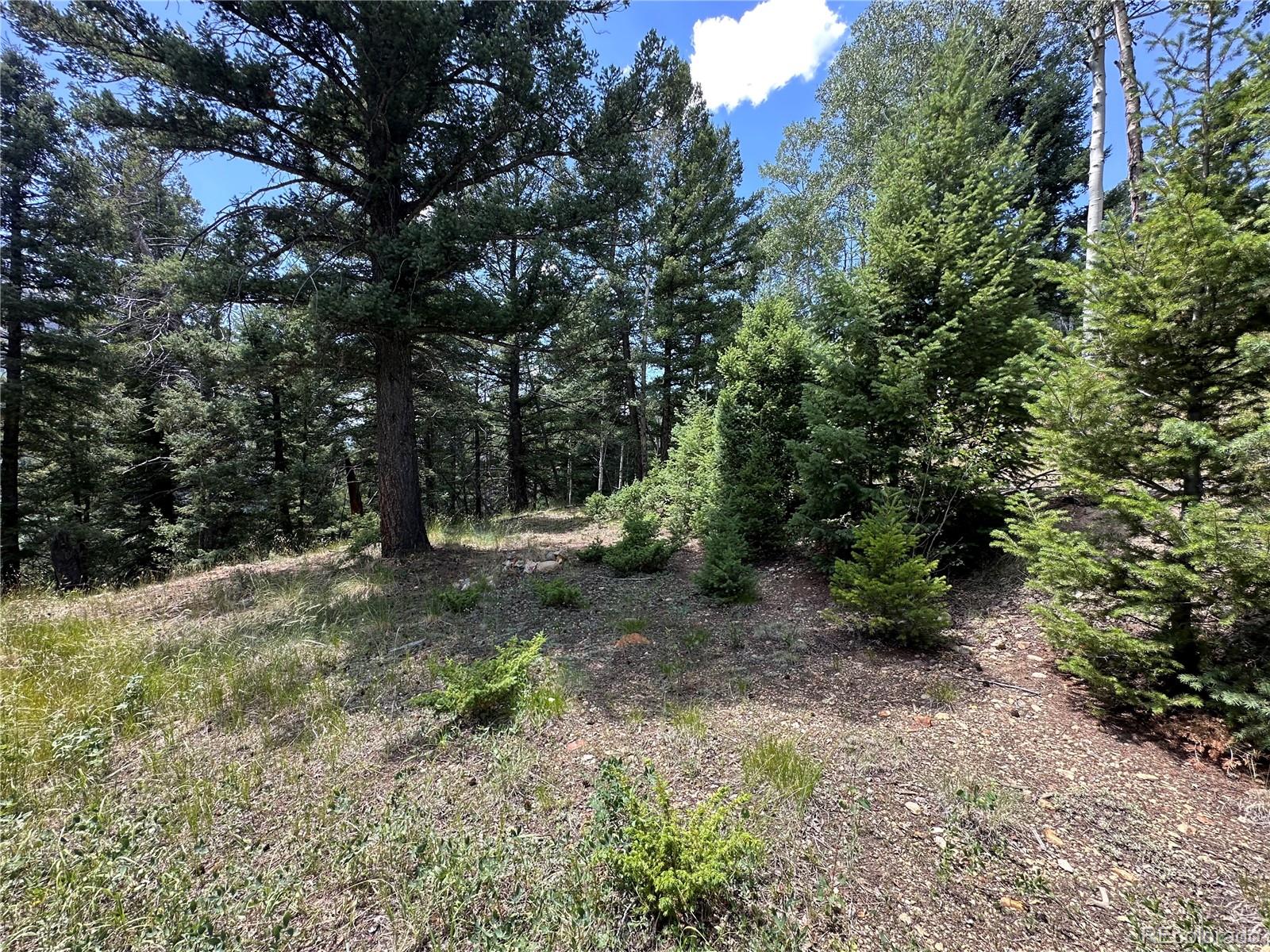 Tbd Calkins Jasper CO 81146