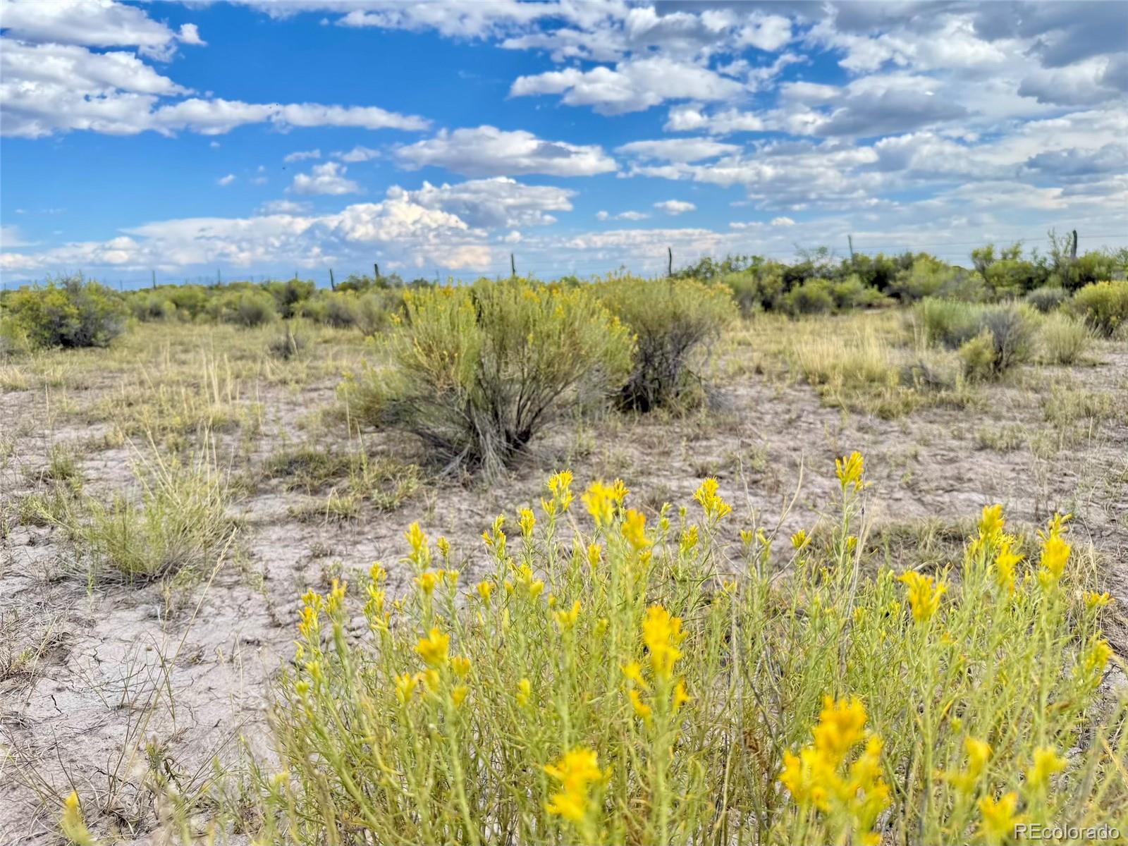18 El Valle Del Sol Estates Alamosa CO 81101
