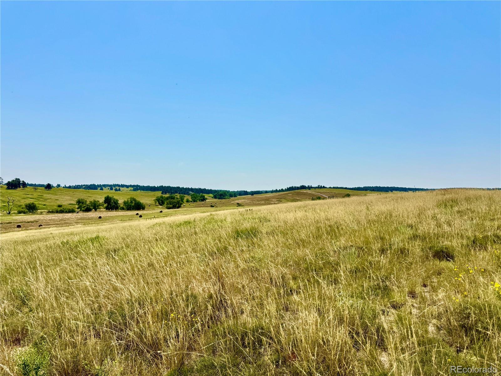 Wendling Trail Lot 48 Kiowa CO 80117