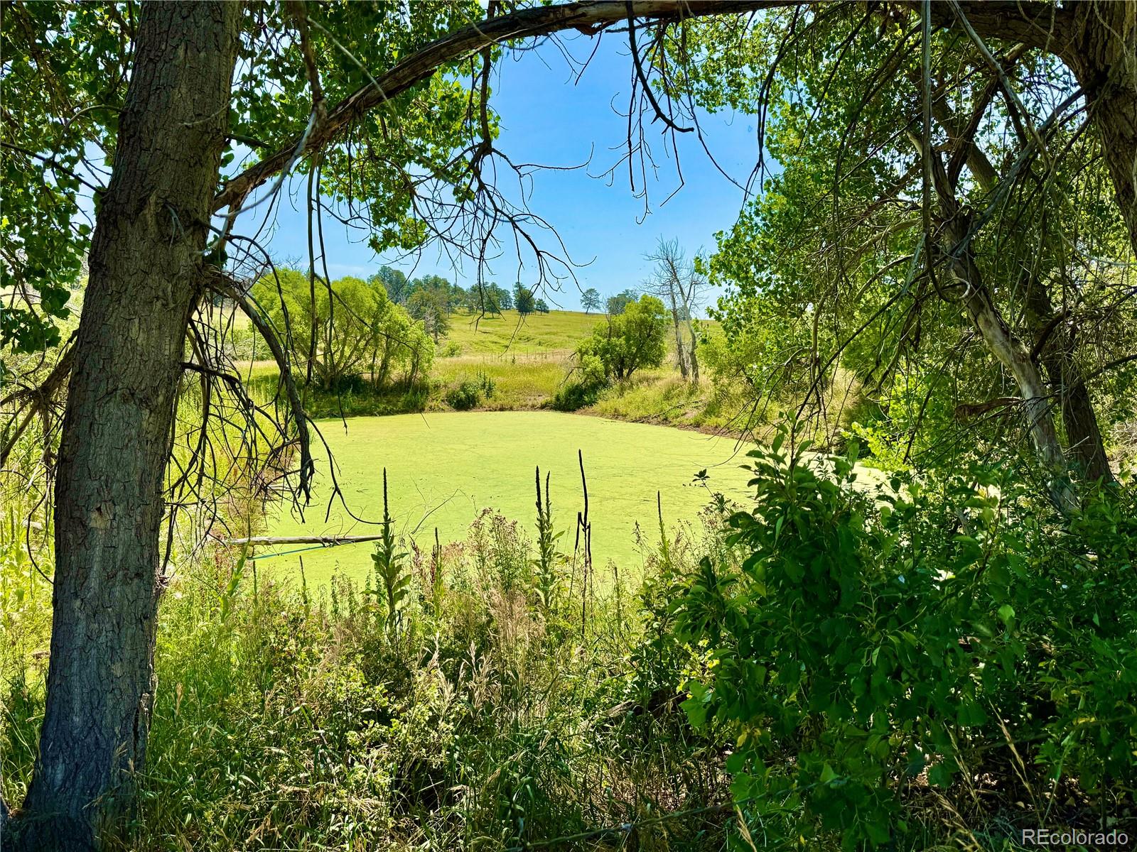 Wendling Trail Lot 48 Kiowa CO 80117