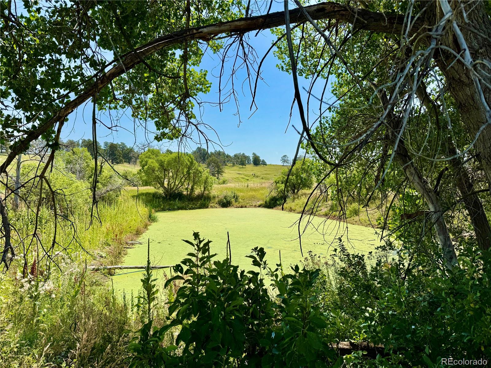 Wendling Trail Lot 48 Kiowa CO 80117