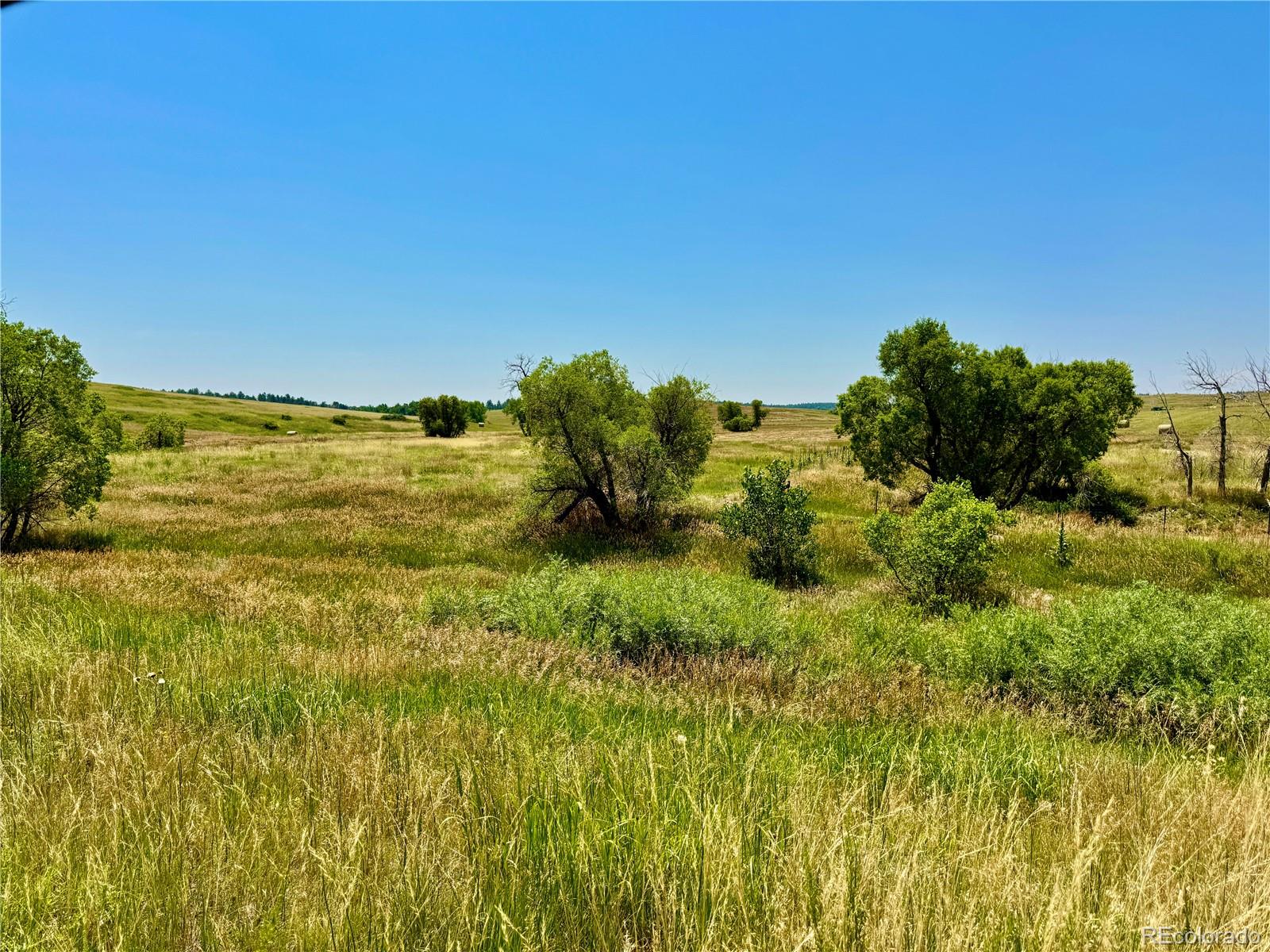 Wendling Trail Lot 48 Kiowa CO 80117