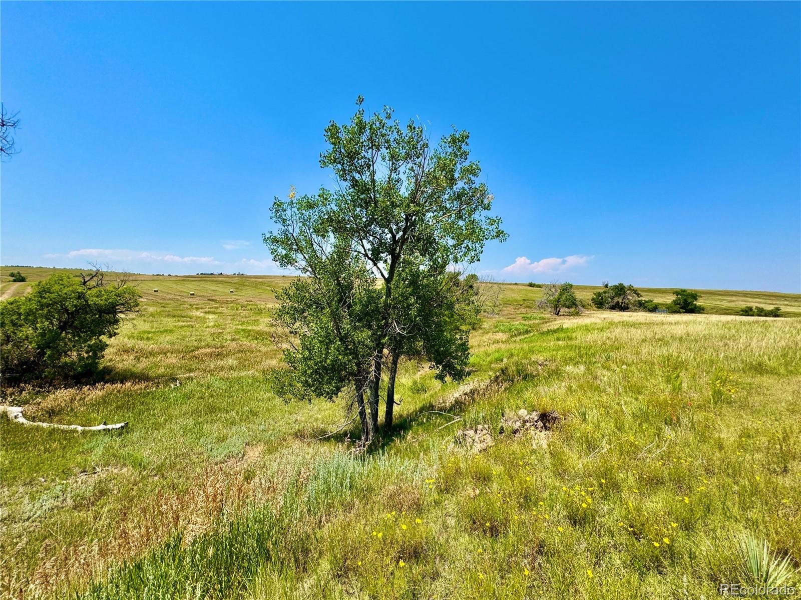 Wendling Trail Lot 48 Kiowa CO 80117