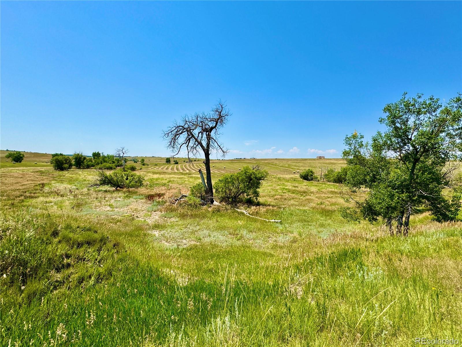 Wendling Trail Lot 48 Kiowa CO 80117