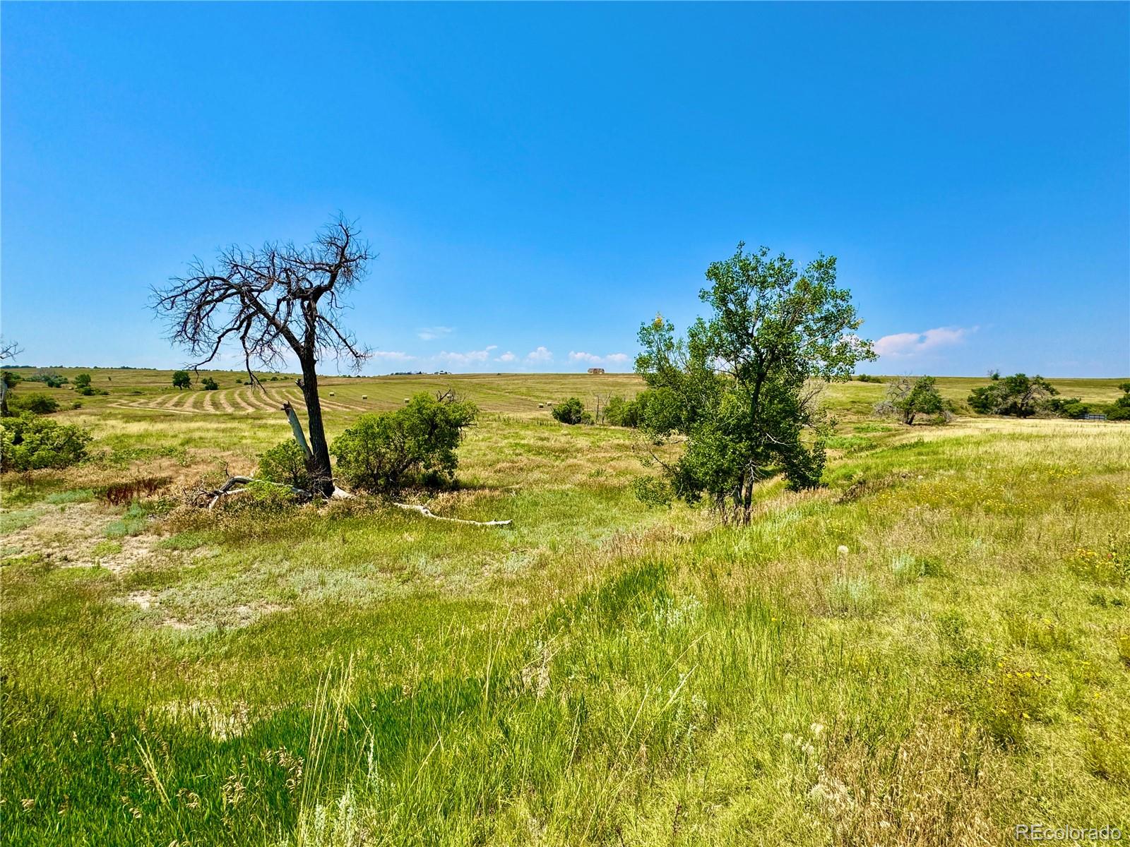 Wendling Trail Lot 48 Kiowa CO 80117