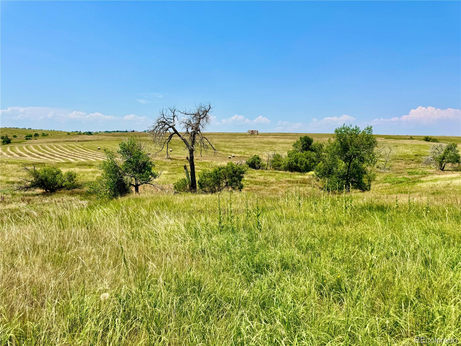 Wendling Trail Lot 48 Kiowa CO 80117