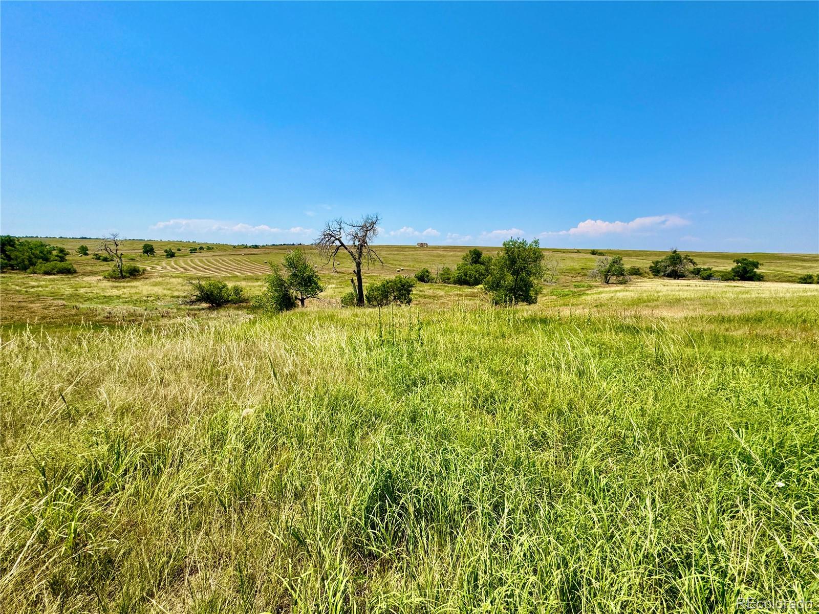 Wendling Trail Lot 48 Kiowa CO 80117