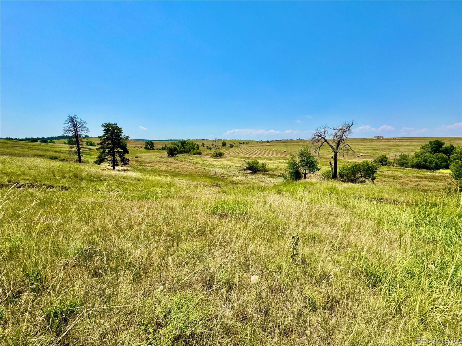 Wendling Trail Lot 48 Kiowa CO 80117