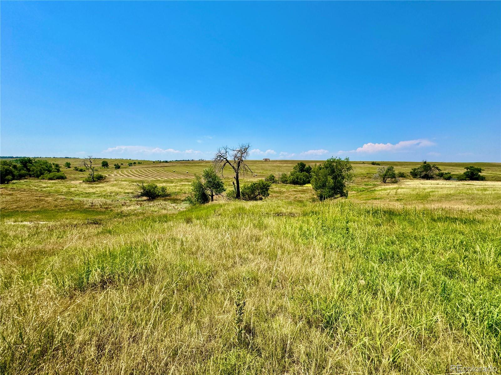 Wendling Trail Lot 48 Kiowa CO 80117