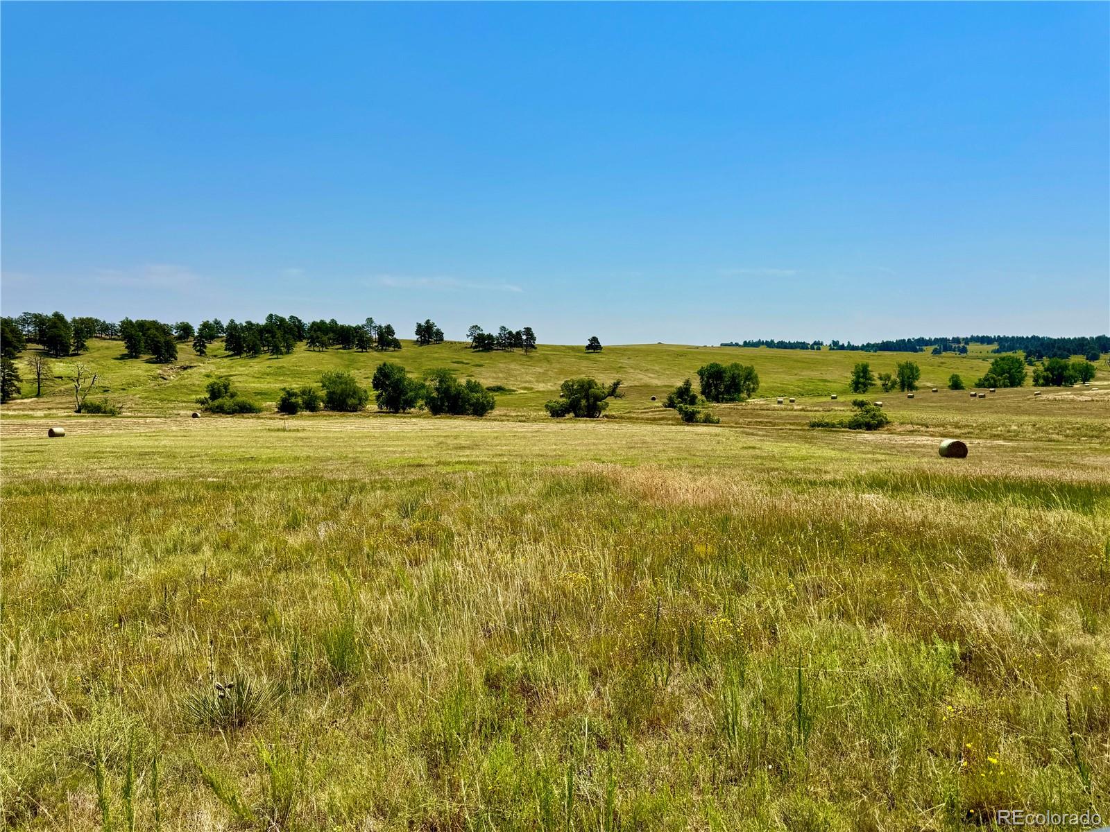 Wendling Trail Lot 48 Kiowa CO 80117