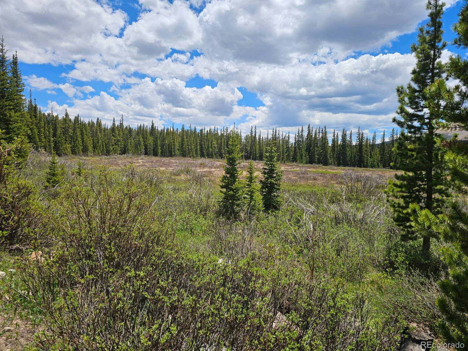 316 Gold Trail Fairplay CO 80440