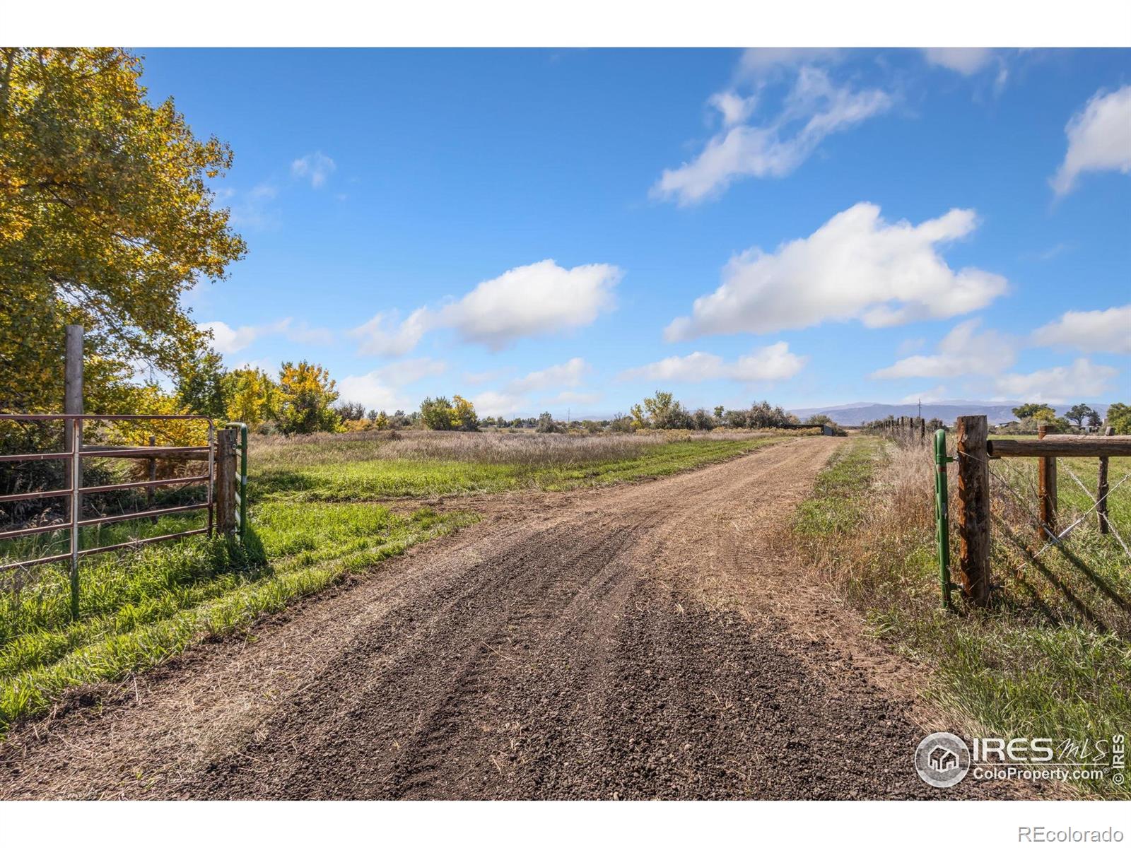 4677 E County Road 48 Fort Collins CO 80524