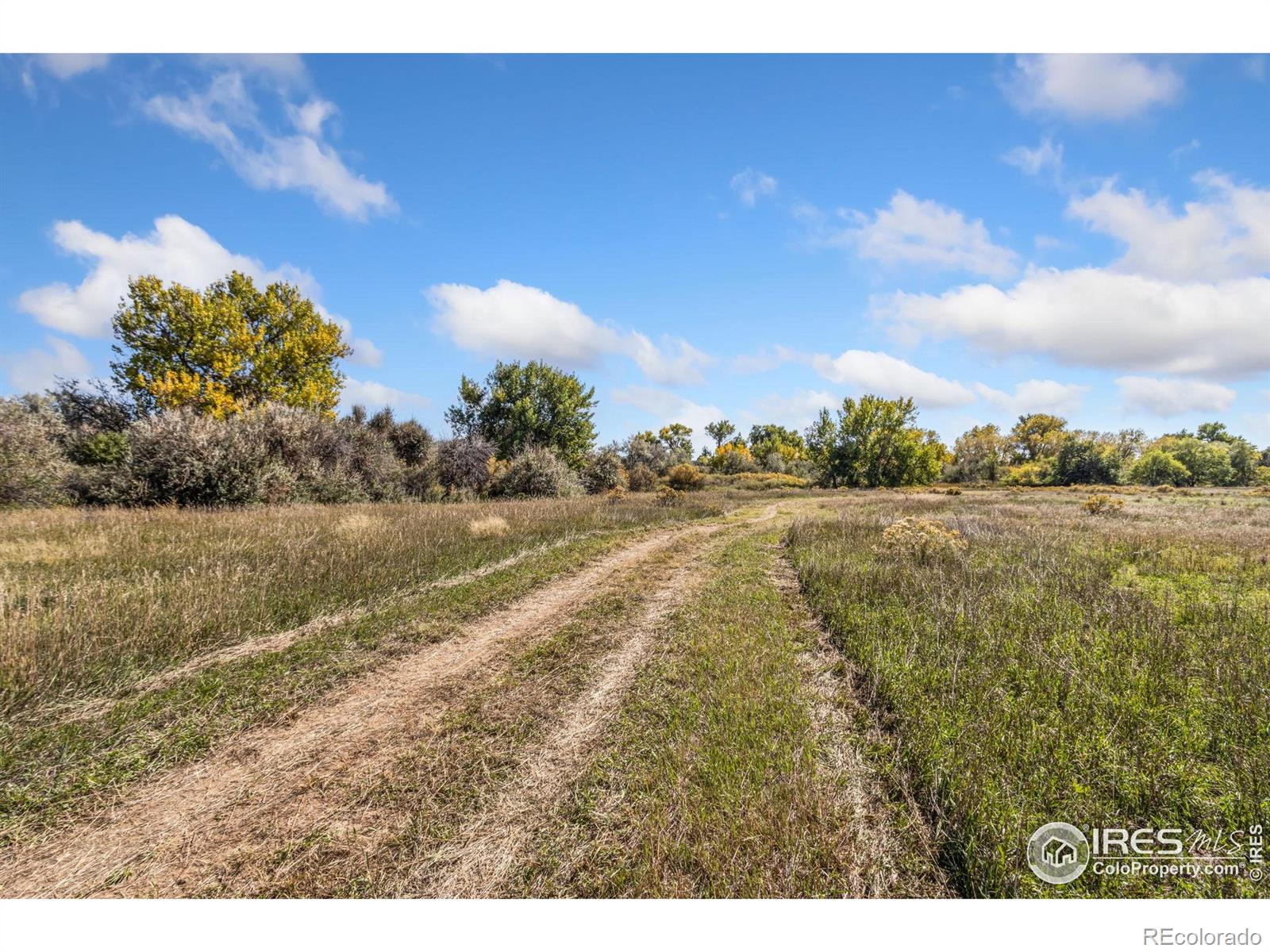 4677 E County Road 48 Fort Collins CO 80524