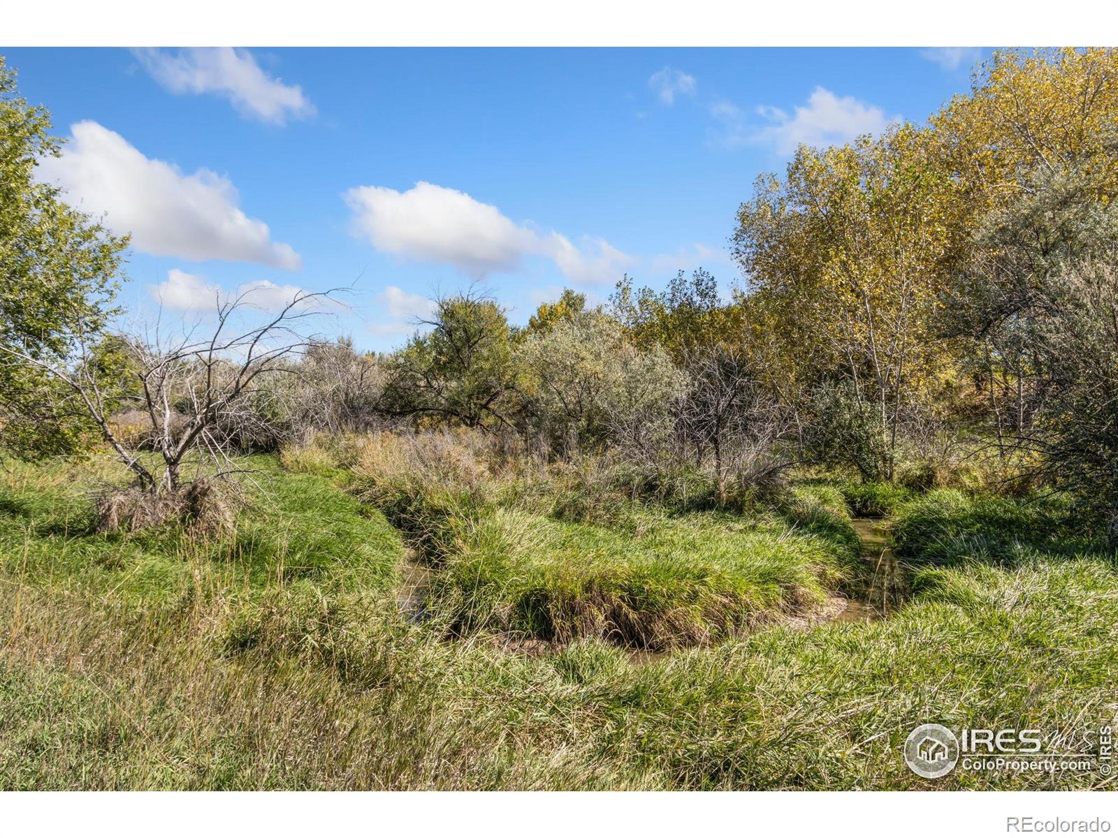 4677 E County Road 48 Fort Collins CO 80524