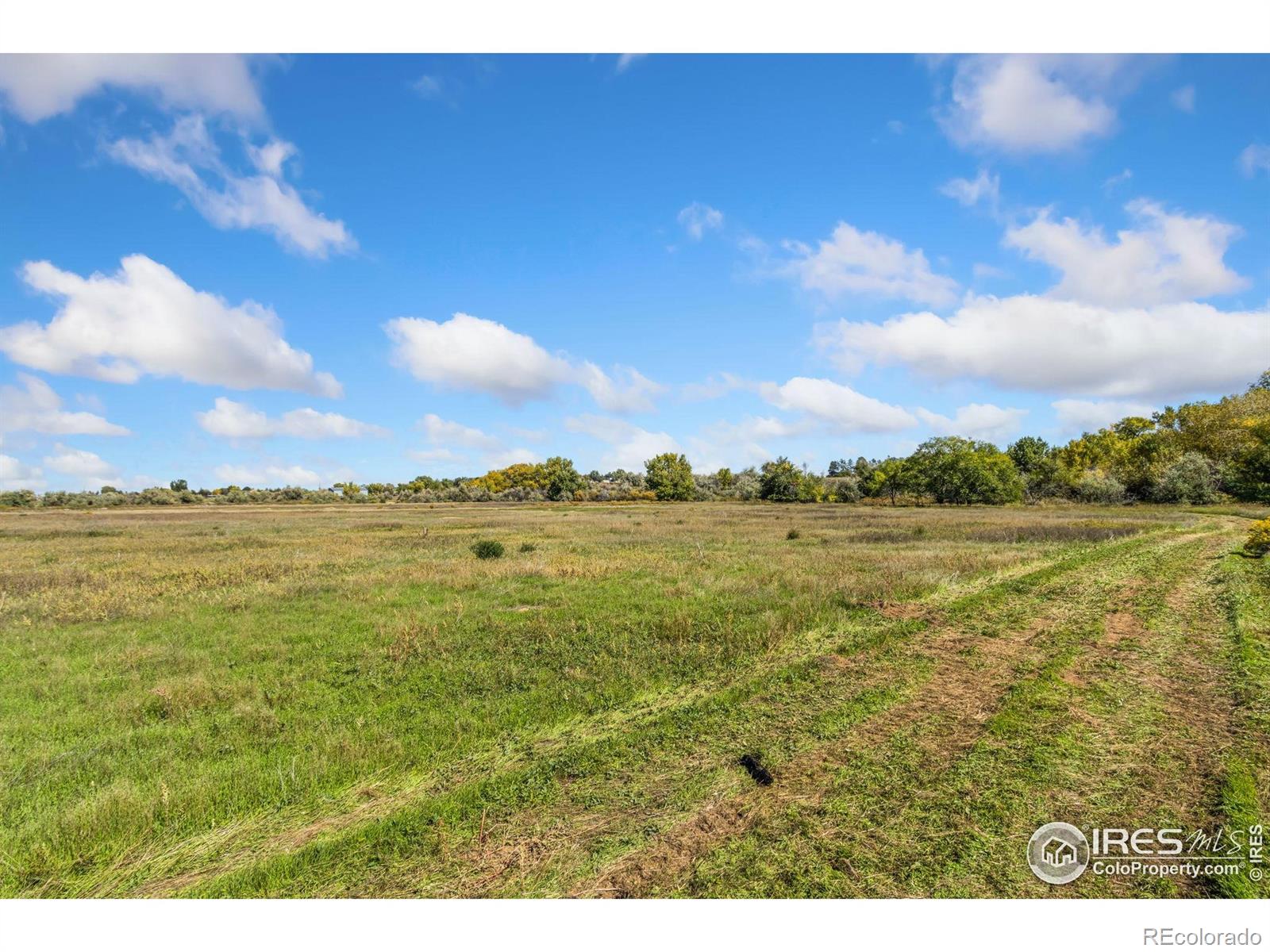 4677 E County Road 48 Fort Collins CO 80524