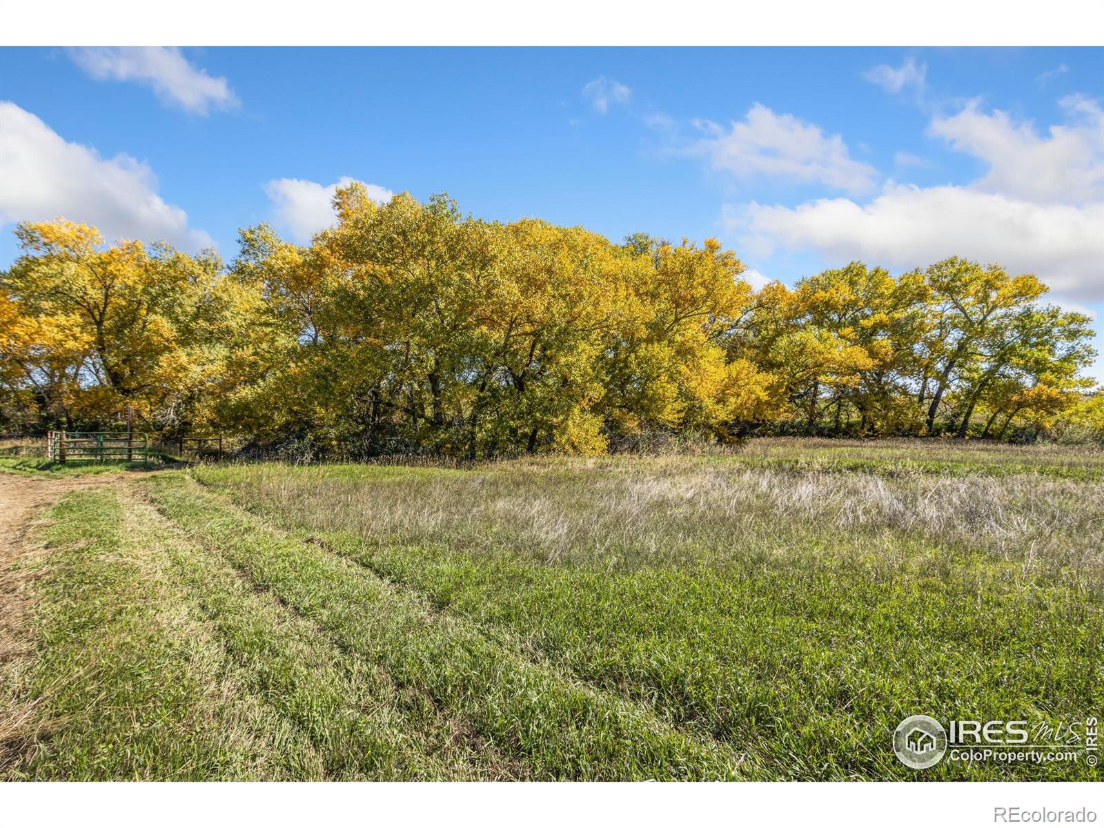 4677 E County Road 48 Fort Collins CO 80524