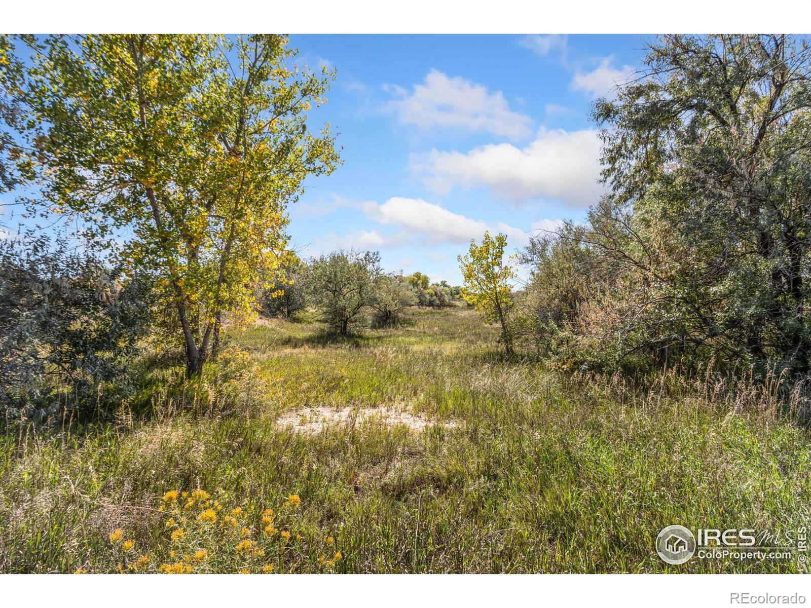4677 E County Road 48 Fort Collins CO 80524