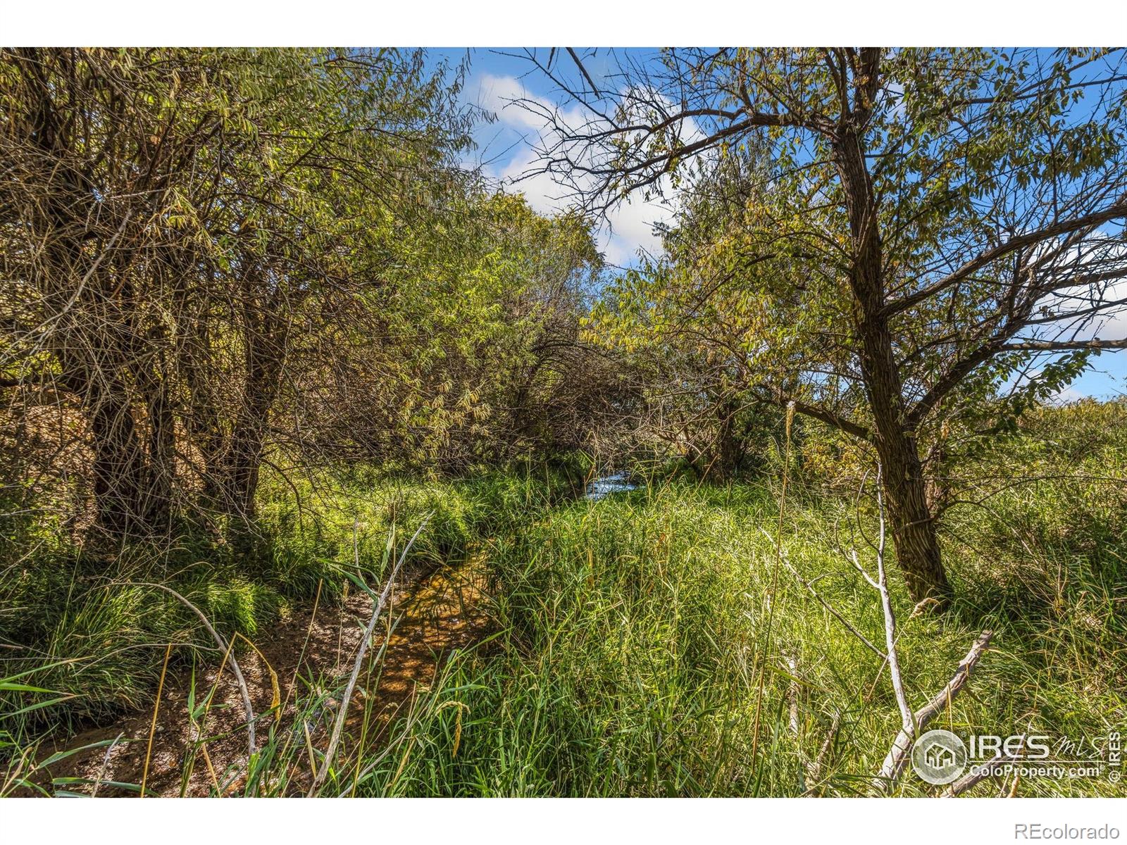 4677 E County Road 48 Fort Collins CO 80524