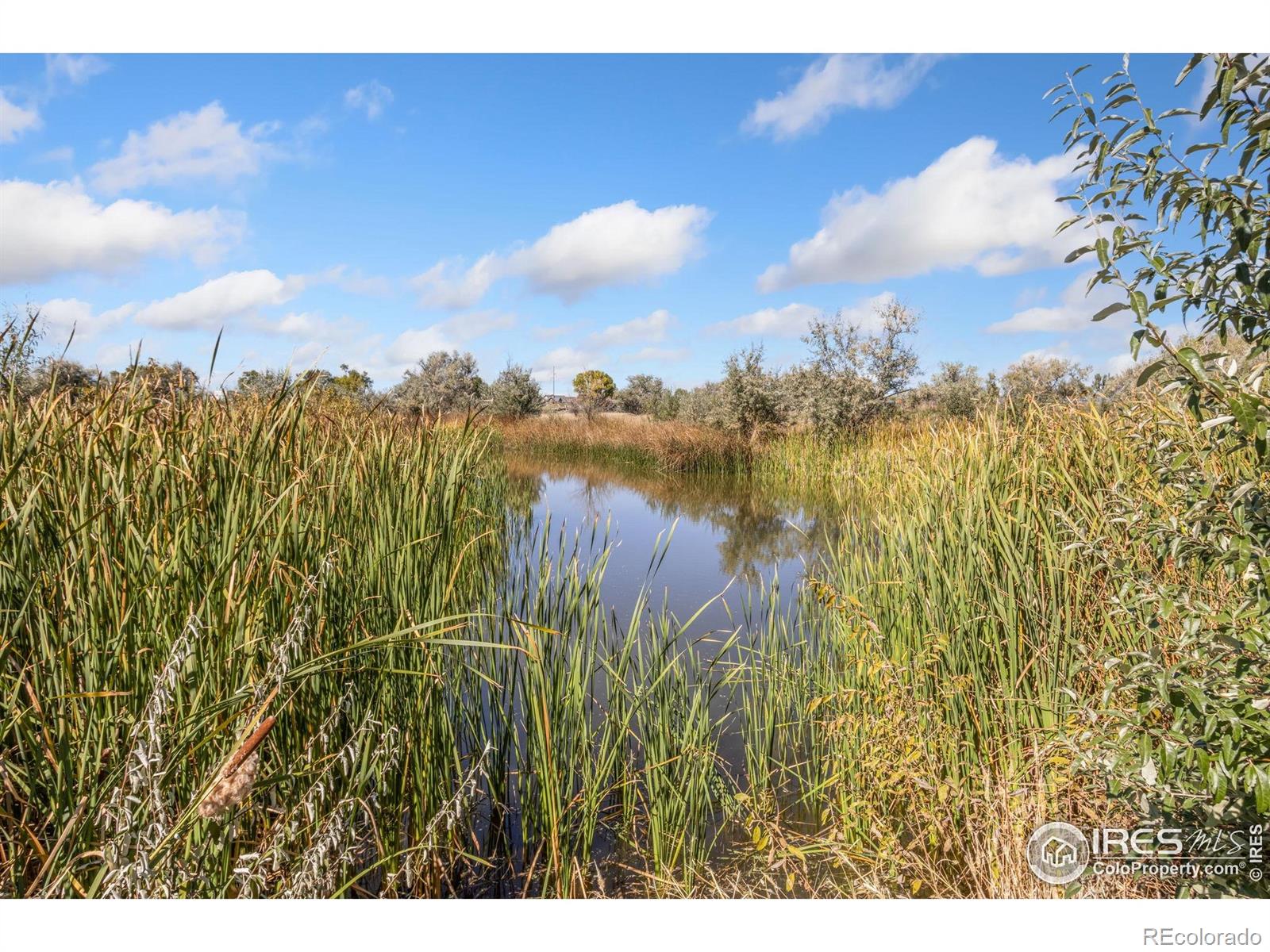 4677 E County Road 48 Fort Collins CO 80524