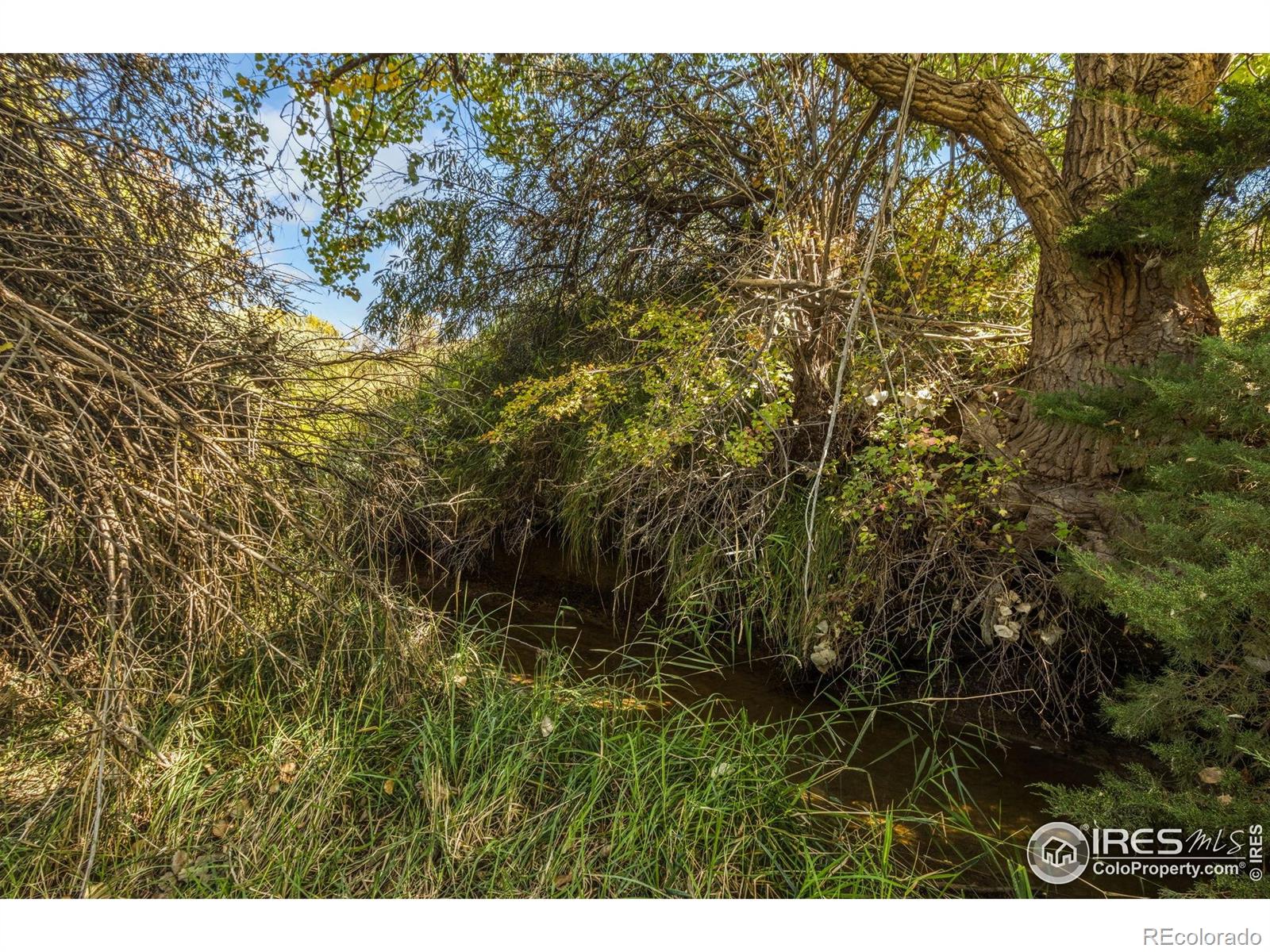 4677 E County Road 48 Fort Collins CO 80524