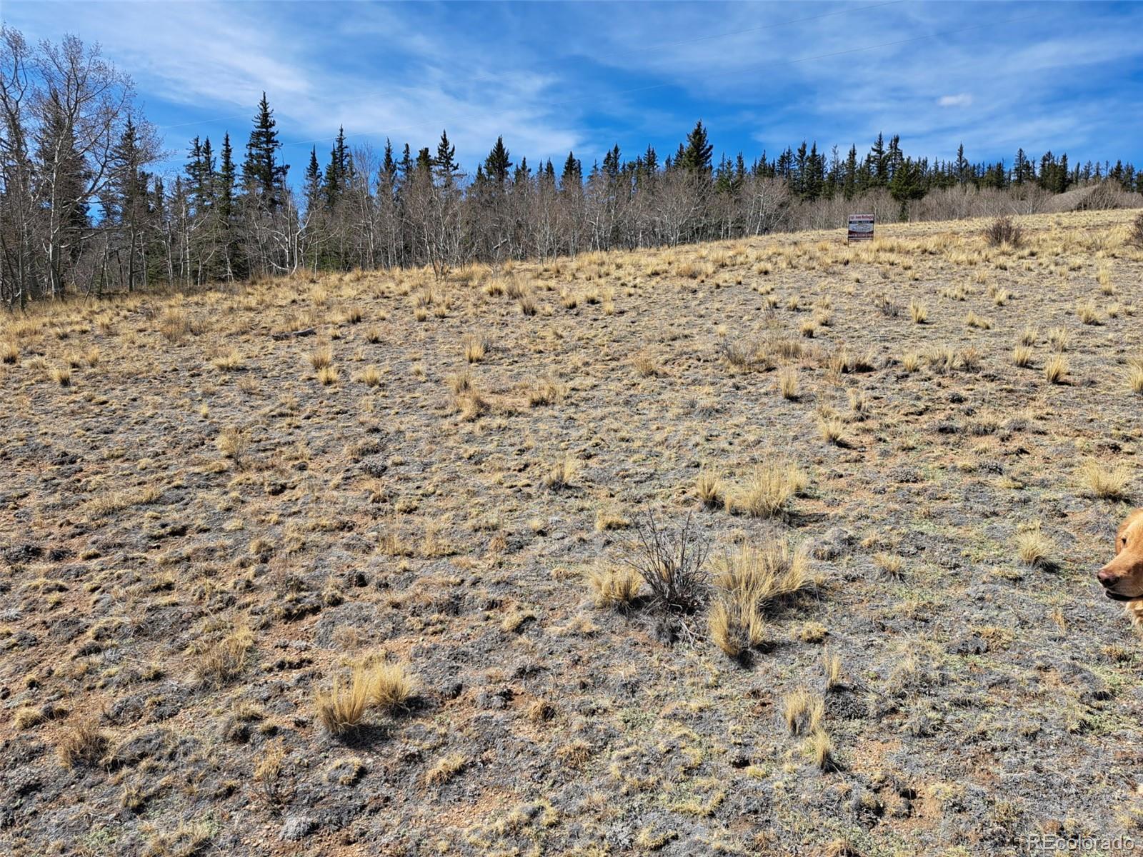 541 War Lane Como CO 80432