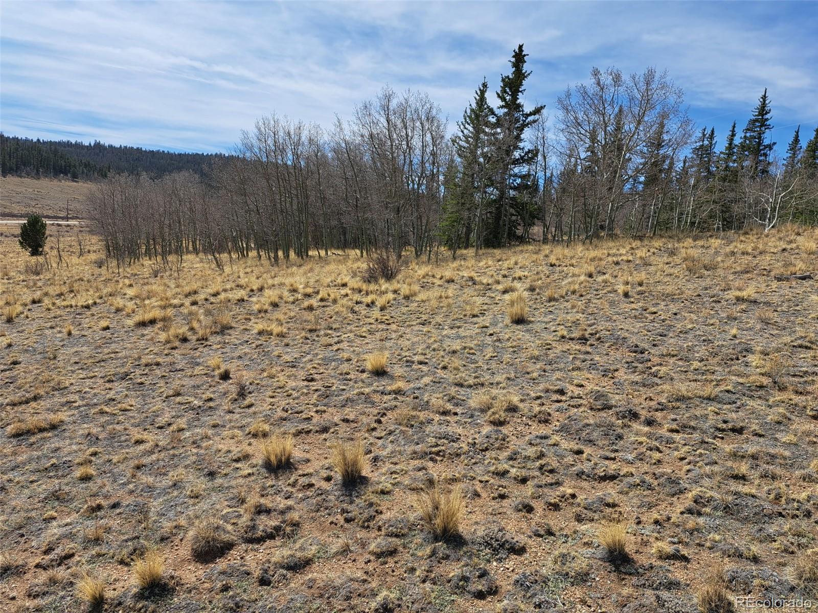 541 War Lane Como CO 80432