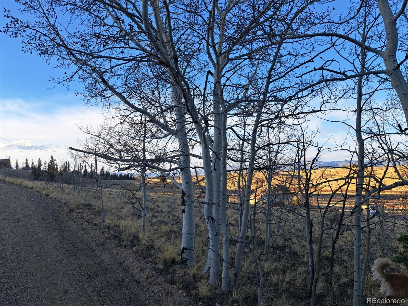 541 War Lane Como CO 80432