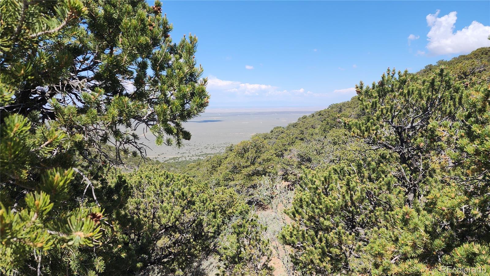 5039 Mamouche Road Fort Garland CO 81133