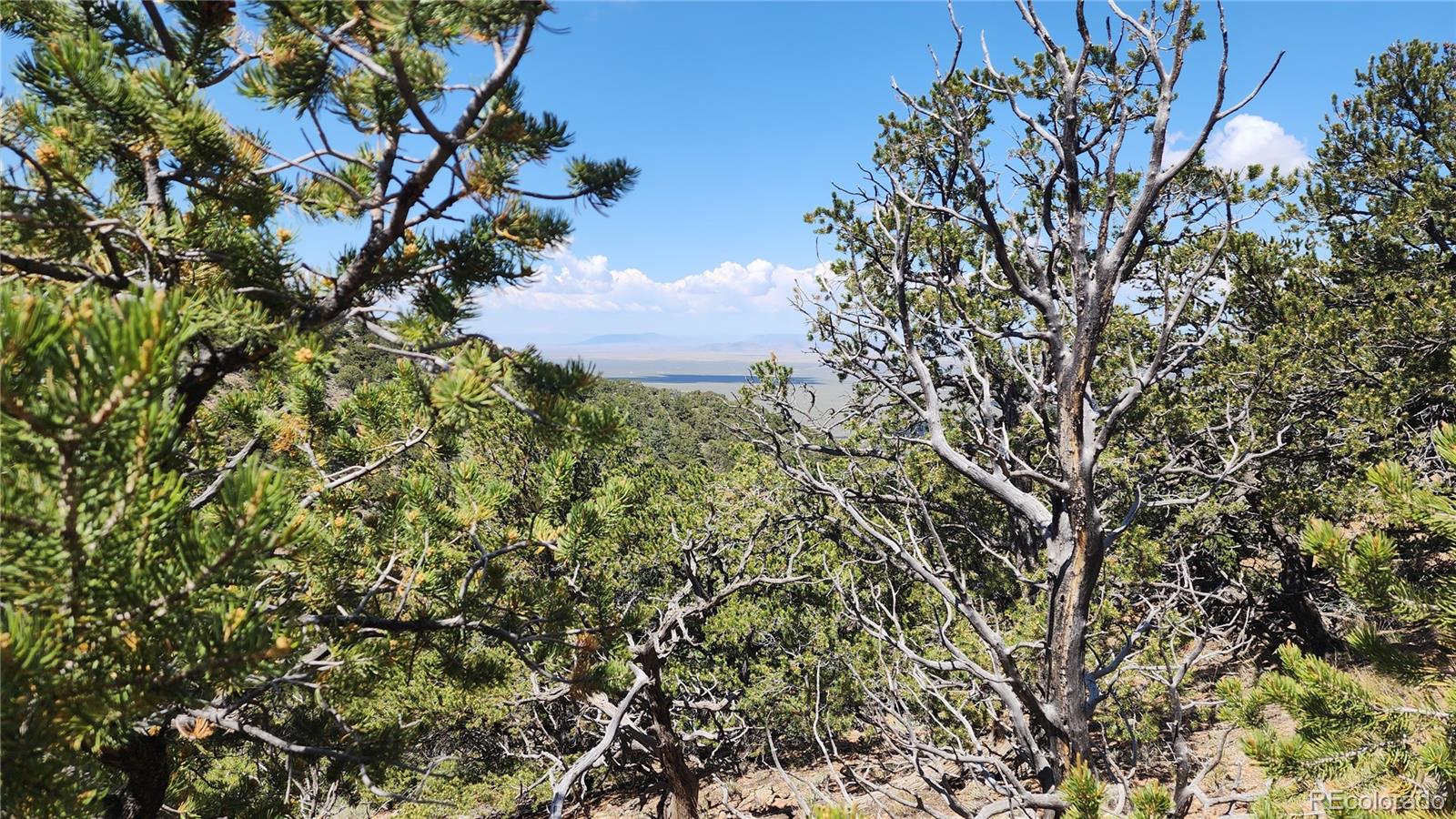 5039 Mamouche Road Fort Garland CO 81133