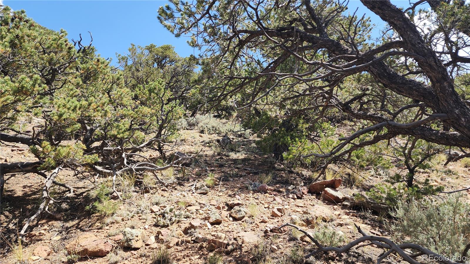 5039 Mamouche Road Fort Garland CO 81133