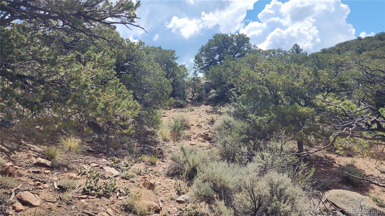 5039 Mamouche Road Fort Garland CO 81133
