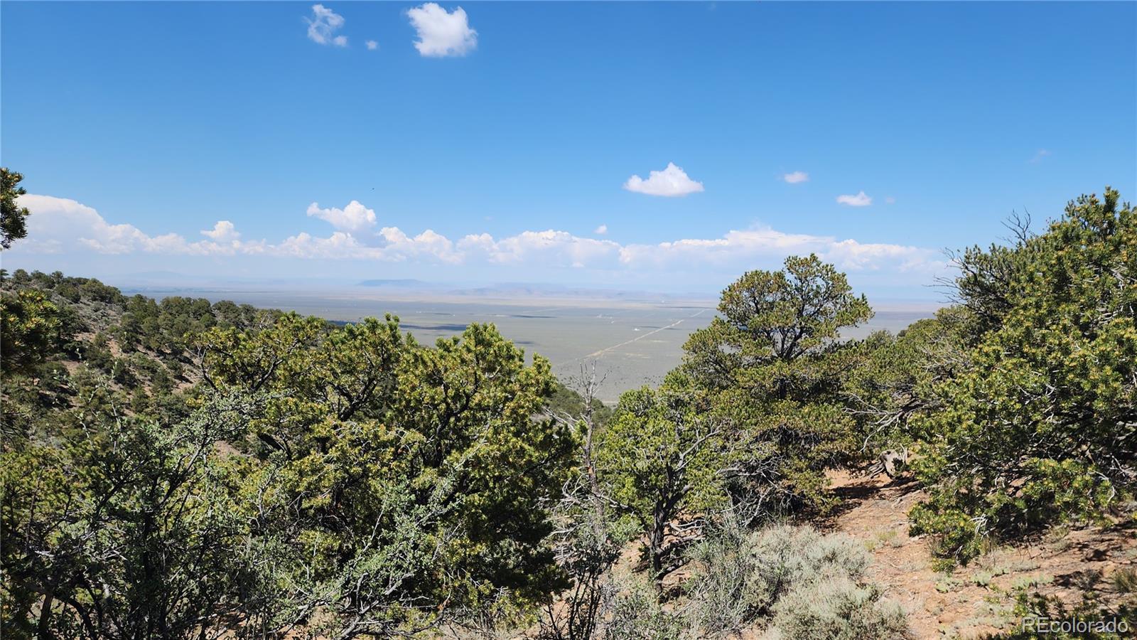 5039 Mamouche Road Fort Garland CO 81133