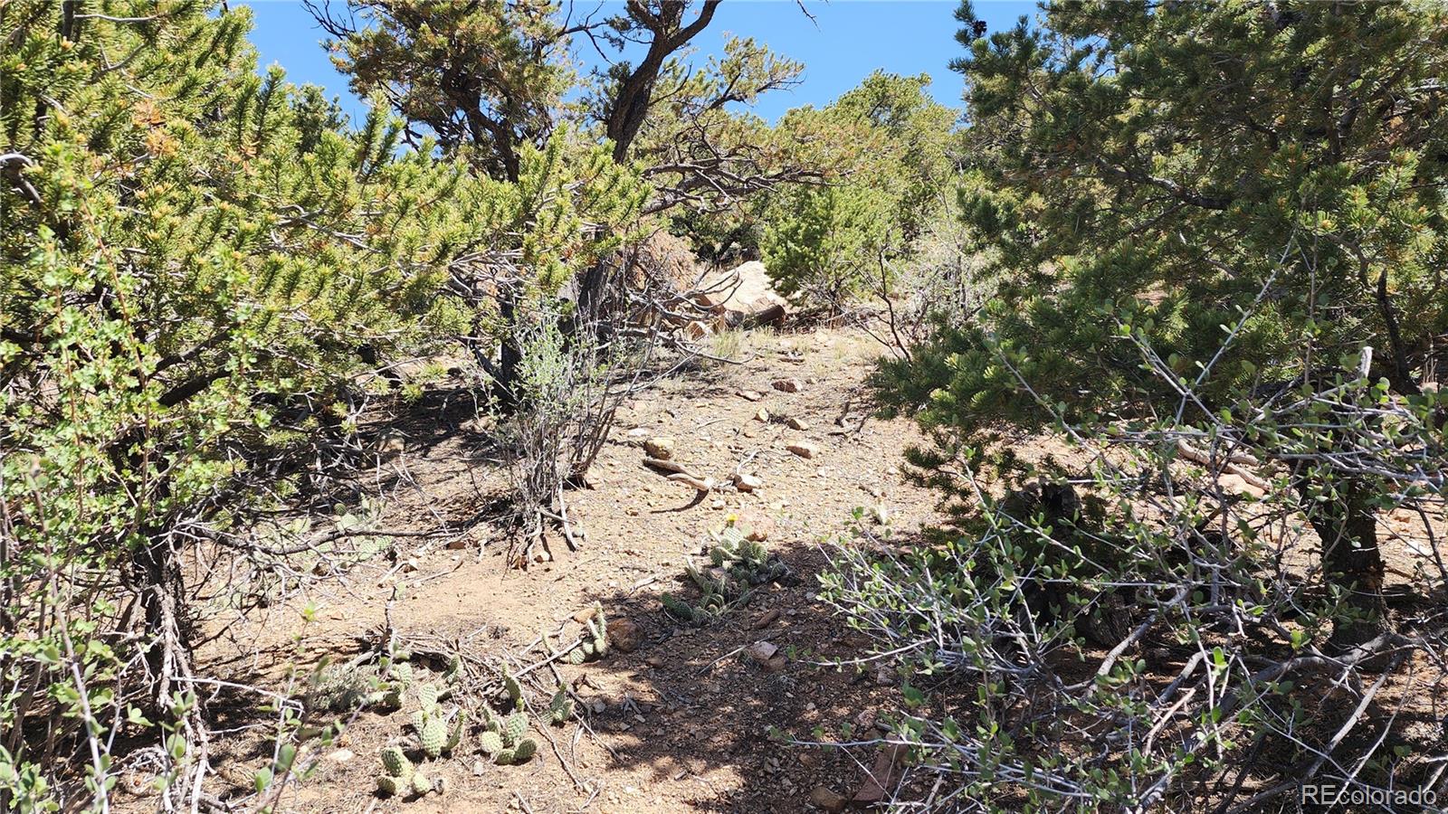 5039 Mamouche Road Fort Garland CO 81133