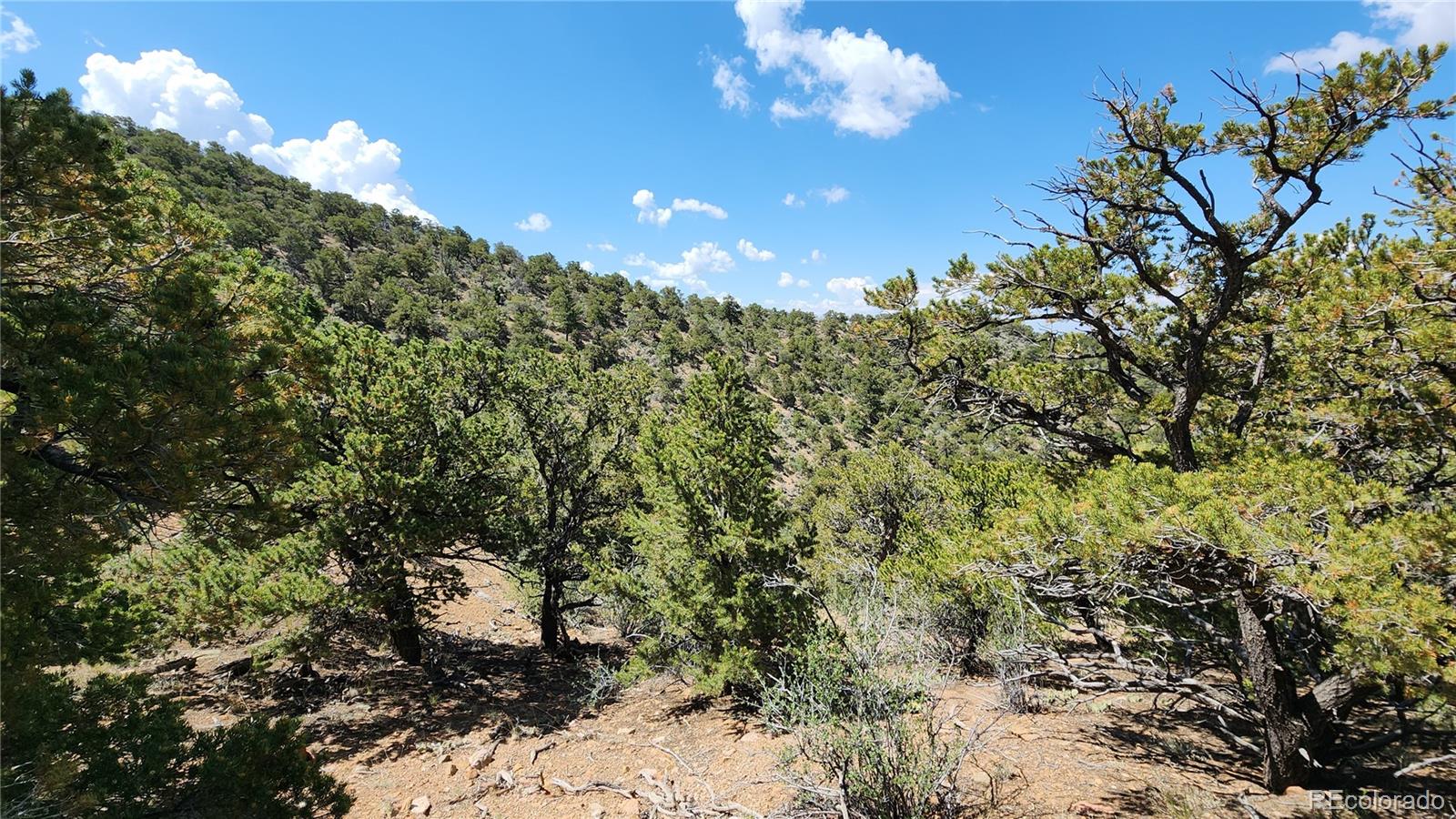 5039 Mamouche Road Fort Garland CO 81133