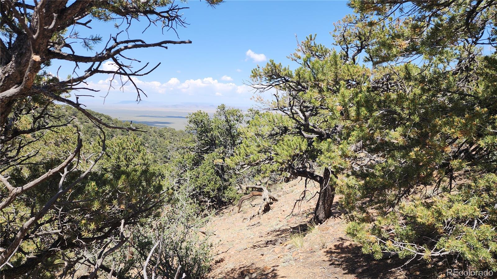 5039 Mamouche Road Fort Garland CO 81133